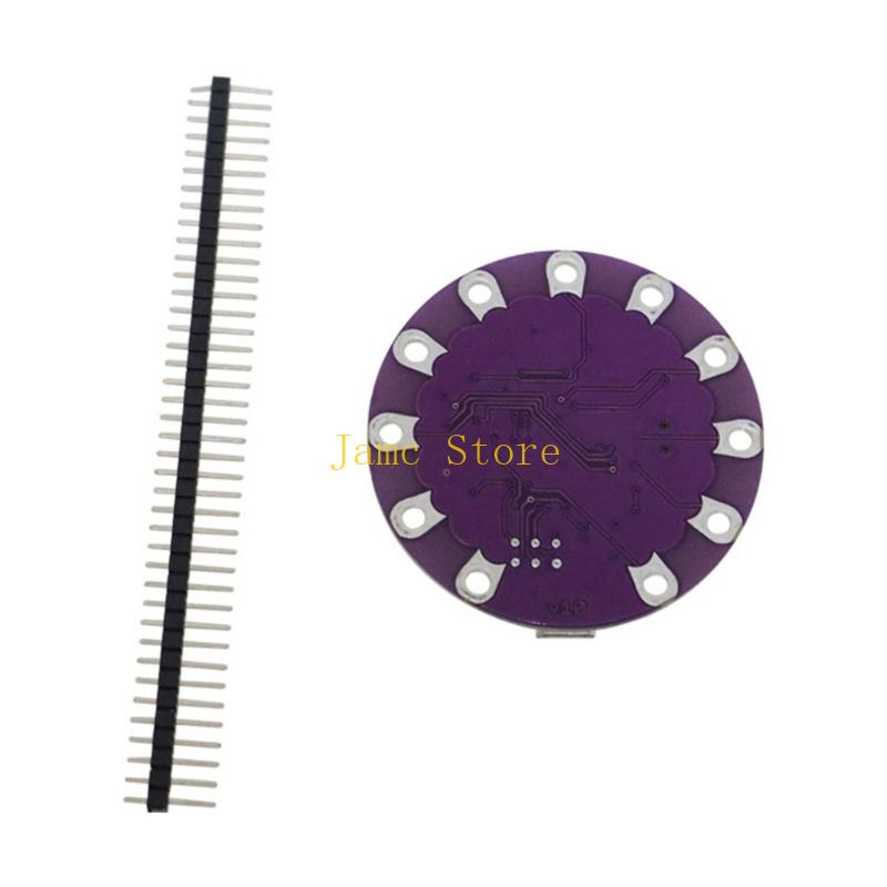 Placa desarrollo USB LX0B micr - Diy Wearable Electronics reseña y precio